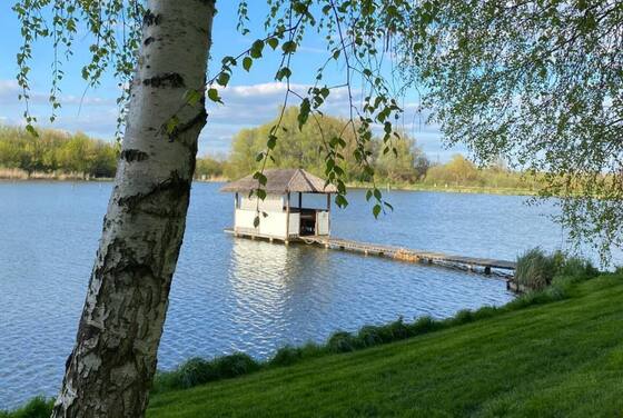 Відкриті альтанки